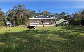 Kangaroo Hill